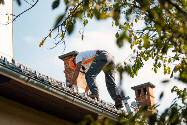 Best Roof Moss and Algae Removal  in Buffalo, WY