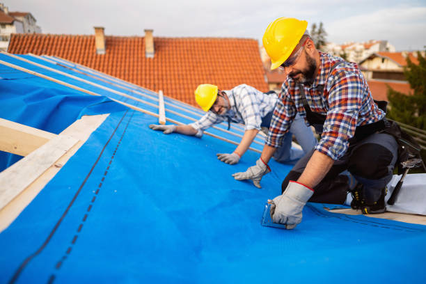 Best Roof Moss and Algae Removal  in Buffalo, WY